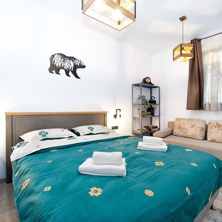 The Bear'S Den In Old City Centre Braşov Extérieur photo